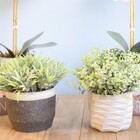 Arranjo De Folhagem Artificial No Vaso Geométrico | Formosinha